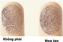 Đếm hoa tay đọc ngay vận mệnh giàu sang hay nghèo hèn