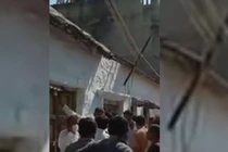 Video: Cả làng náo loạn vì báo hoang tấn công người