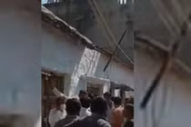 Video: Cả làng náo loạn vì báo hoang tấn công người