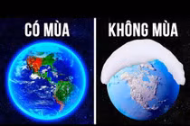 Video: Điều gì sẽ xảy ra nếu không có các mùa trên Trái Đất?