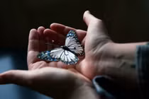 Đời người chỉ vỏn vẹn trong 6 câu nói sau đây