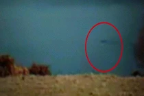 Phát hiện quái vật hồ Loch Ness bơi suốt 10 phút?