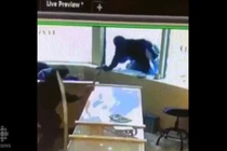 Video: Nhân viên cửa hàng trang sức múa kiếm đuổi băng cướp Canada