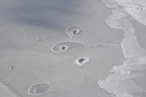 Các lỗ bí ẩn ở Bắc Băng Dương làm NASA bối rối