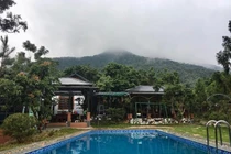 Ôm tiền về quê săn đất hàng nghìn m2, đại gia bán cả dinh cơ