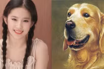 Đầu tháng 8 dương: 3 con giáp làm gì cũng có quý nhân phù trợ