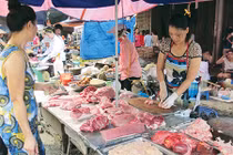 Bữa ăn ngập kháng sinh