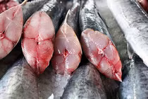 Chủ hàng hải sản mách cách chọn cá thu tươi không bị ướp đạm