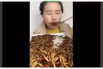 Video: “Nữ hoàng côn trùng” ăn rết, bọ cạp, giun… ngon lành như bim bim