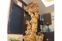 Chiêm ngưỡng đồng hồ gốc me trăm năm tuổi độc nhất vô nhị