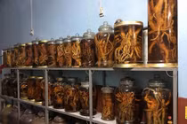 Tội cho chàng rể muốn bước chân vào nhà gái như thế này