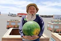 Tu nghiệp sinh người Việt kể chuyện thu hoạch dưa hấu tại Isarel