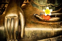 Muốn hạnh phúc trong tầm tay, hãy từ bỏ ngay 4 điều này