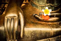 Muốn hạnh phúc trong tầm tay, hãy từ bỏ ngay 4 điều này