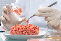 Video: Công nghệ làm thịt giả như thật của người Nhật