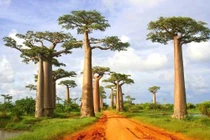 10 điểm nên tham quan trước khi chúng biến mất