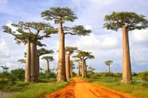 10 điểm nên tham quan trước khi chúng biến mất