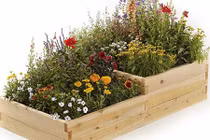 Ngàn cách trồng cây vào giá vừa nghệ thuật vừa tiện lợi cho nhà nhỏ