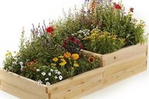 Ngàn cách trồng cây vào giá vừa nghệ thuật vừa tiện lợi cho nhà nhỏ