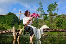 Không được mùa, hoa súng vẫn khiến Suối Yến đẹp mộng mơ