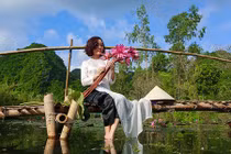 Không được mùa, hoa súng vẫn khiến Suối Yến đẹp mộng mơ