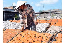 Rực rỡ làng khô xứ biển Cái Đôi Vàm vào vụ Tết 2018 đẹp như tranh