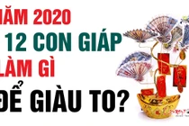 Video: Năm 2020, 12 con giáp nên làm gì để giàu to, mọi việc như ý?