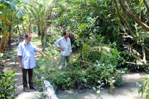 Nghi án bà chủ bị cướp giết hại, bỏ xác trong bụi rậm