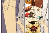 Cuộc sống của bạn thay đổi ra sao kể từ khi nuôi "boss"?