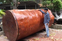 Bí ẩn khúc gỗ dài 3 mét, đại gia Hải Phòng trả giá gần 4 tỷ