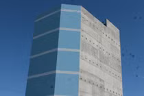 Chim yến khiến cả thành phố mất ăn, mất ngủ