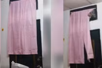 Thuê nhà nhưng thấy chó sủa dữ dội, cặp đôi phát hiện điều kinh hoàng 