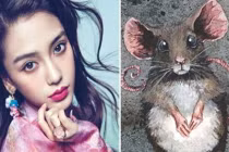 3 con giáp đợi đến đêm Giao Thừa để đón tài lộc rủng rỉnh