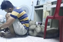 Vợ ngao ngán đăng ảnh chồng và "con trai riêng" thân thiết