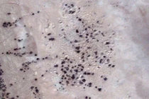 Phát hiện mới về thành phố 4.000 năm mất tích