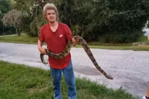 Lên gác diệt chuột, không ngờ gặp sinh vật to gấp chục lần