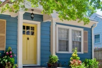 7 loại cây phong thủy đẹp, trồng trước nhà giúp gia tăng may mắn