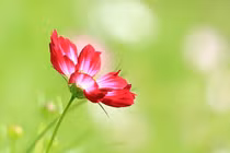 "Đứt từng khúc ruột" khi biết con đang mang thai muốn ly dị 