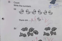 Bất ngờ với cách giải bài toán đếm số hại não của cậu bé