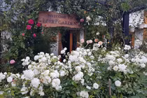 Bỏ vốn 120 triệu, chàng trai 8x sở hữu homestay trên mây