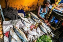 Khu chợ bán hải sản rẻ hơn rau con gì cũng có