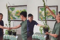 Cơn sốt lan phi điệp đột biến: 'Bong bóng đang vỡ rồi'