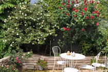 Xiêu lòng trước sân thượng rực rỡ hoa hồng của bà mẹ ở Hà Nội