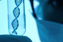 Phát hiện một gia đình lớn kỷ lục có 13 triệu người