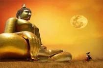 Buông bỏ 5 điều để cuộc sống bình an thêm bội phần