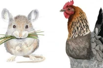 Tuần mới (29/11-5/12): 3 con giáp vận may ngập tràn, gánh vàng mỏi lưng 