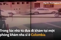 Video: Nữ chính trị gia đu dây vượt ngục như trong phim