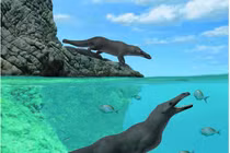  Cá voi hóa ra cũng đã từng có 4 chân, đi ầm ầm trên cạn