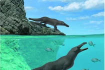  Cá voi hóa ra cũng đã từng có 4 chân, đi ầm ầm trên cạn