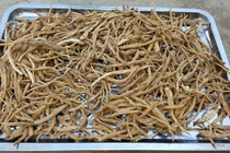 Về với xứ sở sâm dây